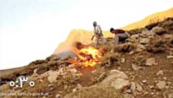 آتش سوزی اتفاقی در کوه رُنج فارس