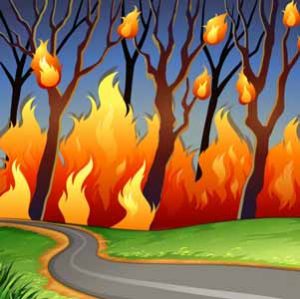 هشدار آتش سوزی در جنگل ها و مراتع کشور