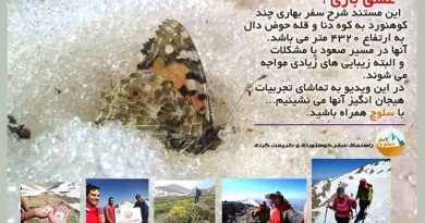 عشق بازی ،مستند دیدنی از صعود بهاری به قله دنا (حوض دال 4320 متر)